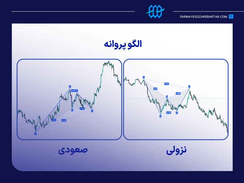 الگوی پروانه (butterfly)