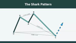 الگوی کوسه ( Shark Pattern)